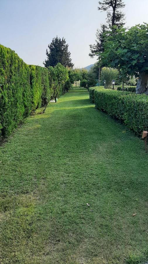 Bed and Breakfast Casale Battaglini Castelnuovo Cilento Exterior foto