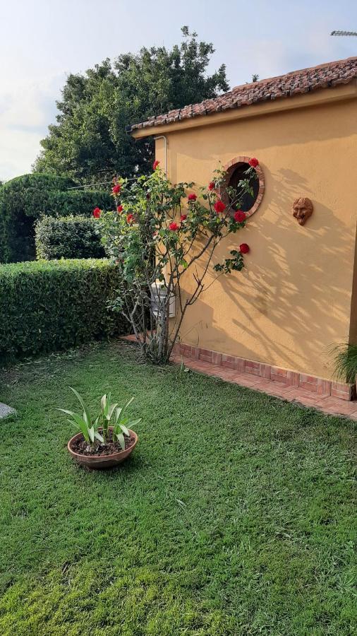 Bed and Breakfast Casale Battaglini Castelnuovo Cilento Exterior foto